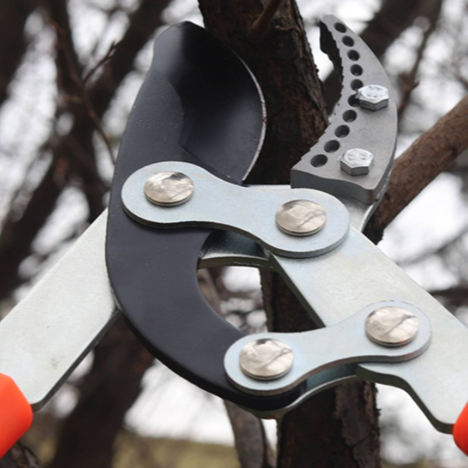 مقصات تقليم الأغصان التلسكوبية - مراجعة Garden Tools وسعره